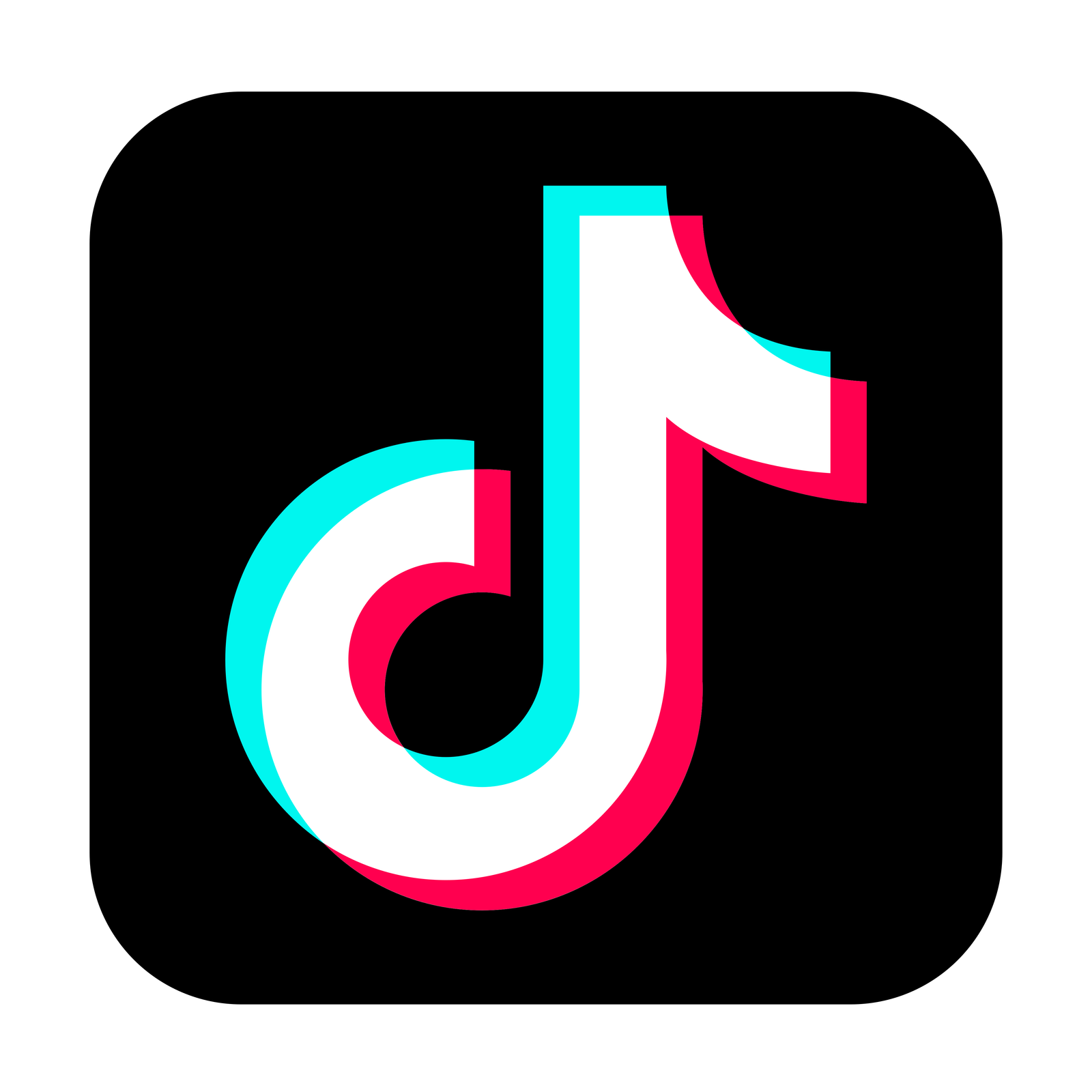 icon TIKTOK